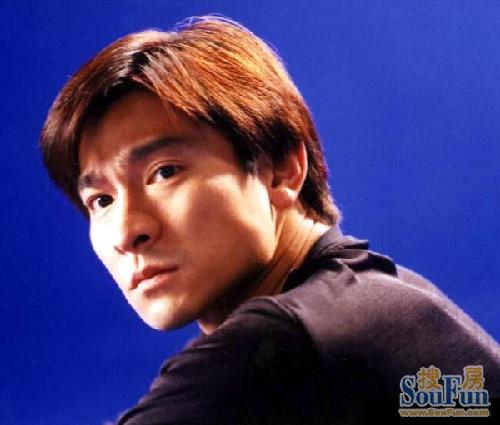 劉德華別墅設(shè)計